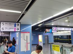 -大龙山(地铁站)