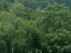 -杭州双溪漂流景区