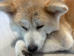 -YCHL Studios健身工作室(市二宫店)