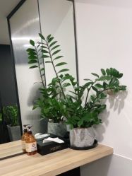 -Garden花園造型
