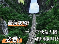 -张家界天门山国家森林公园