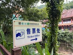 -西双版纳原始森林公园