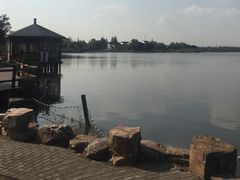 -鹅湖玫瑰文化园