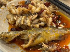 -品鱻黑豆花美蛙鱼(西政店)