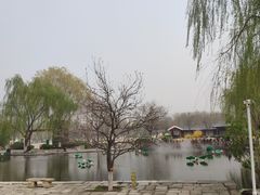 -河北省园博园