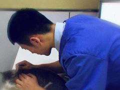 -惠康宠物医院(华能路店)