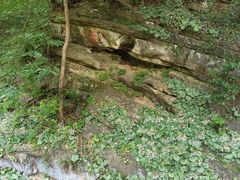 -镇江市南山风景名胜区竹林景区