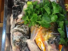 -蜀滋香鲜鱼美蛙火锅(339店)