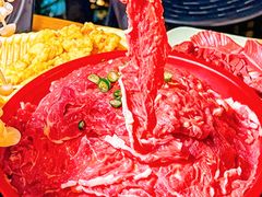 -巴倒烫陆派重庆火锅(南山店)