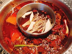 -晓宇重庆火锅(赛格国际购物中心店)