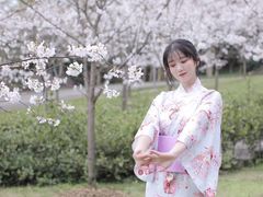 -南山植物园