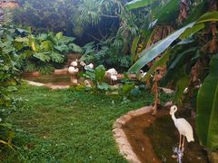 -海南热带野生动植物园