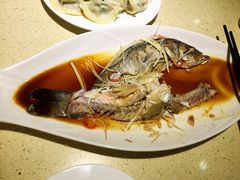 酱汁海鲈鱼-岳姥姥饺子(泺文路店)