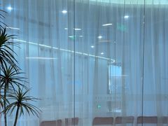 -红舞鞋舞蹈教育(近江校区)