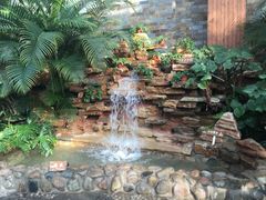 -南宫温泉水世界