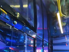 -移动谜城·大笨象密室逃脱(五棵松店)