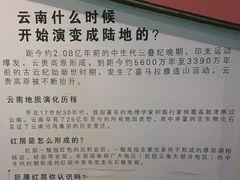 -云南省博物馆