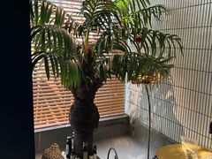 -涟LIAN·泰式按摩·MASSAGE·SPA(华强北店)