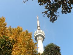 -龟山风景区-龟山电视塔