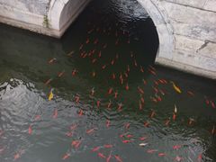-北京市劳动人民文化宫(太庙)