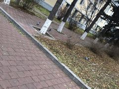 -吉林大学(南岭校区)