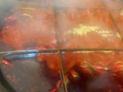 -独雅老火锅(原宏声巷店)