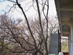 -大理床单厂艺术区