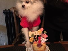 -百好乐宠物友好餐厅(朝外大街店)