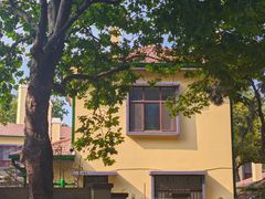 -八大关景区