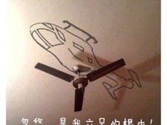 -大可堂普洱茶馆(襄阳南路馆)