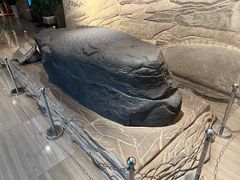 -白鹤梁水下博物馆