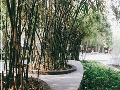 -晓港公园