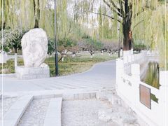-莲花池公园