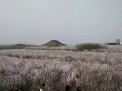 -明秦王墓遗址