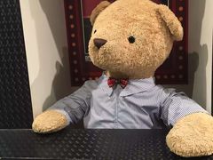 -济州岛泰迪熊博物馆