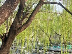 -南长河公园