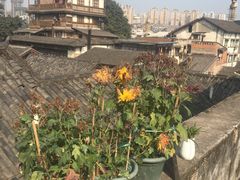-大王油茶(磁器口店)