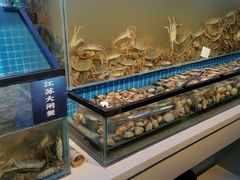 -海天盛宴潮汕蒸汽海鲜高端自助形象店