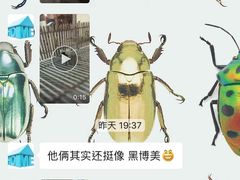 -宠物之家Pets Home 宠物寄养酒店