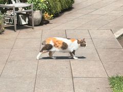 -星河湾温泉洗浴酒店