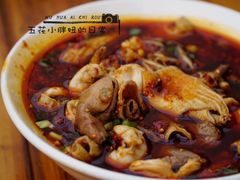 冒兔肚菌钯-中和裴氏蹄花(府河路店)