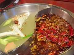 -谭鸭血老火锅(远大购物广场店)