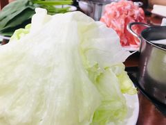 -鑫龙火锅城(阳光新路店)