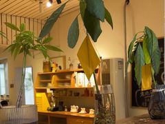 -沏点Trattoria意大利餐厅(新街口店)