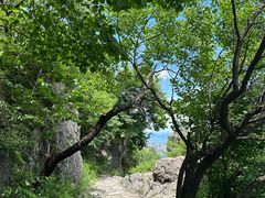 -阳台山自然风景区