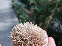 -天目湖涵田度假村