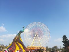 -七彩云南欢乐世界