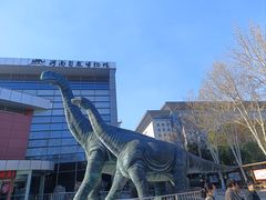 -河南自然博物馆