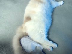 -零纪元VR体验馆·桌游(黄浦店)