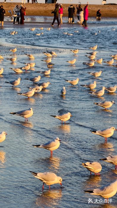 老虎石海上公园图片